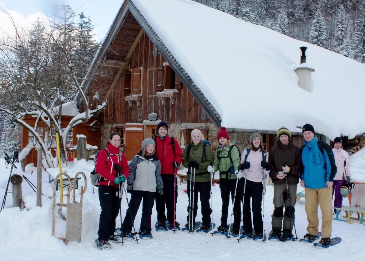 Chalet 49 Nesselgraben - Ferienwohnungen Aus Holz Koppl Exteriér fotografie