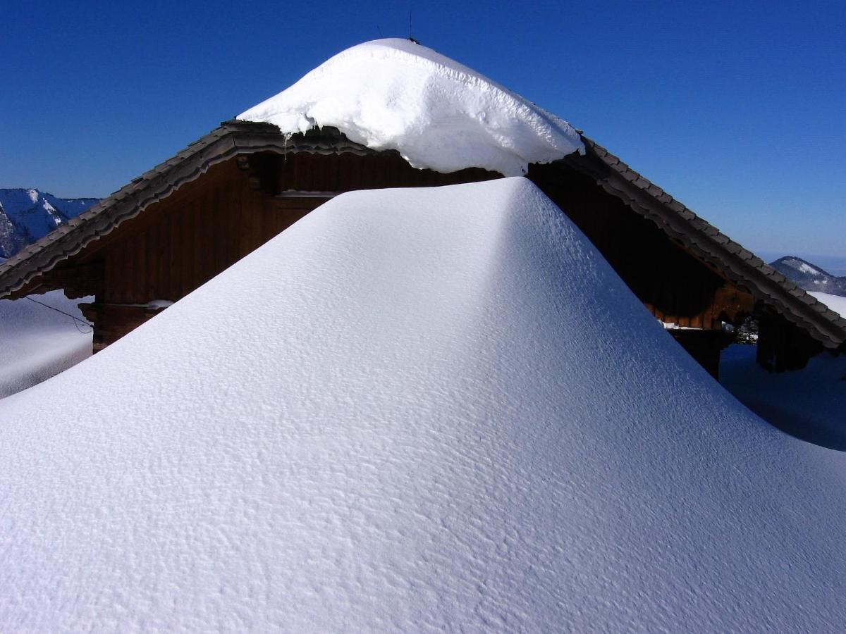 Chalet 49 Nesselgraben - Ferienwohnungen Aus Holz Koppl Exteriér fotografie