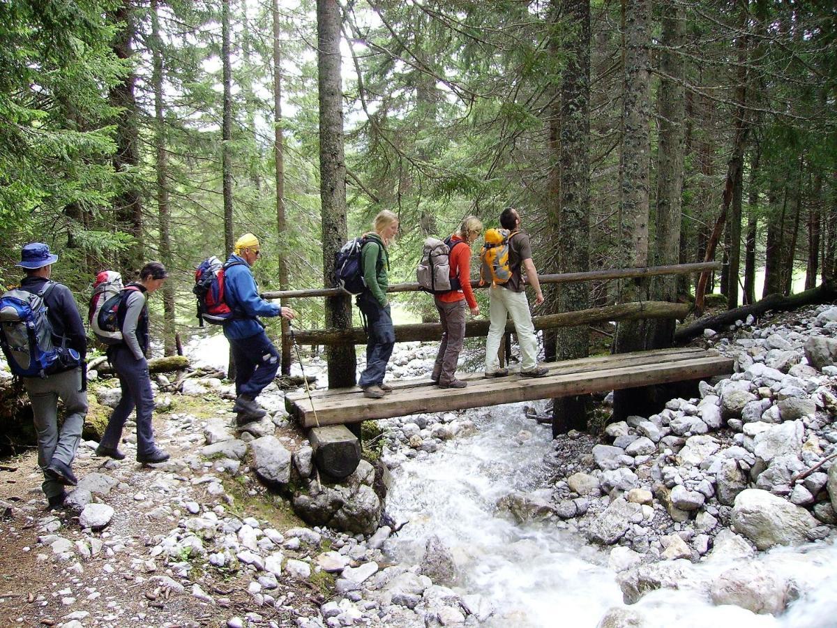 Chalet 49 Nesselgraben - Ferienwohnungen Aus Holz Koppl Exteriér fotografie