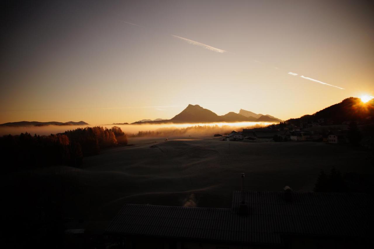 Chalet 49 Nesselgraben - Ferienwohnungen Aus Holz Koppl Exteriér fotografie