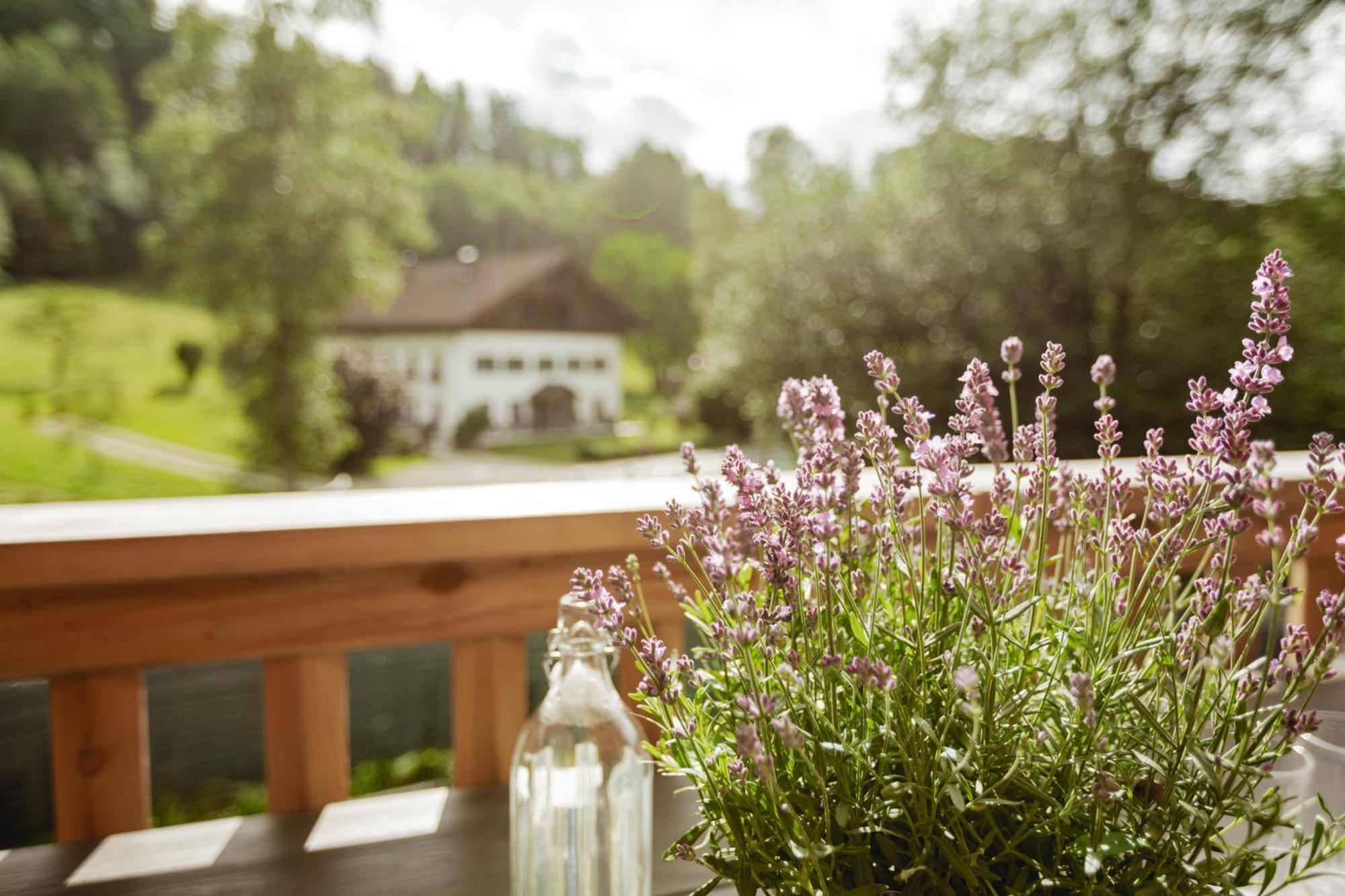 Chalet 49 Nesselgraben - Ferienwohnungen Aus Holz Koppl Exteriér fotografie