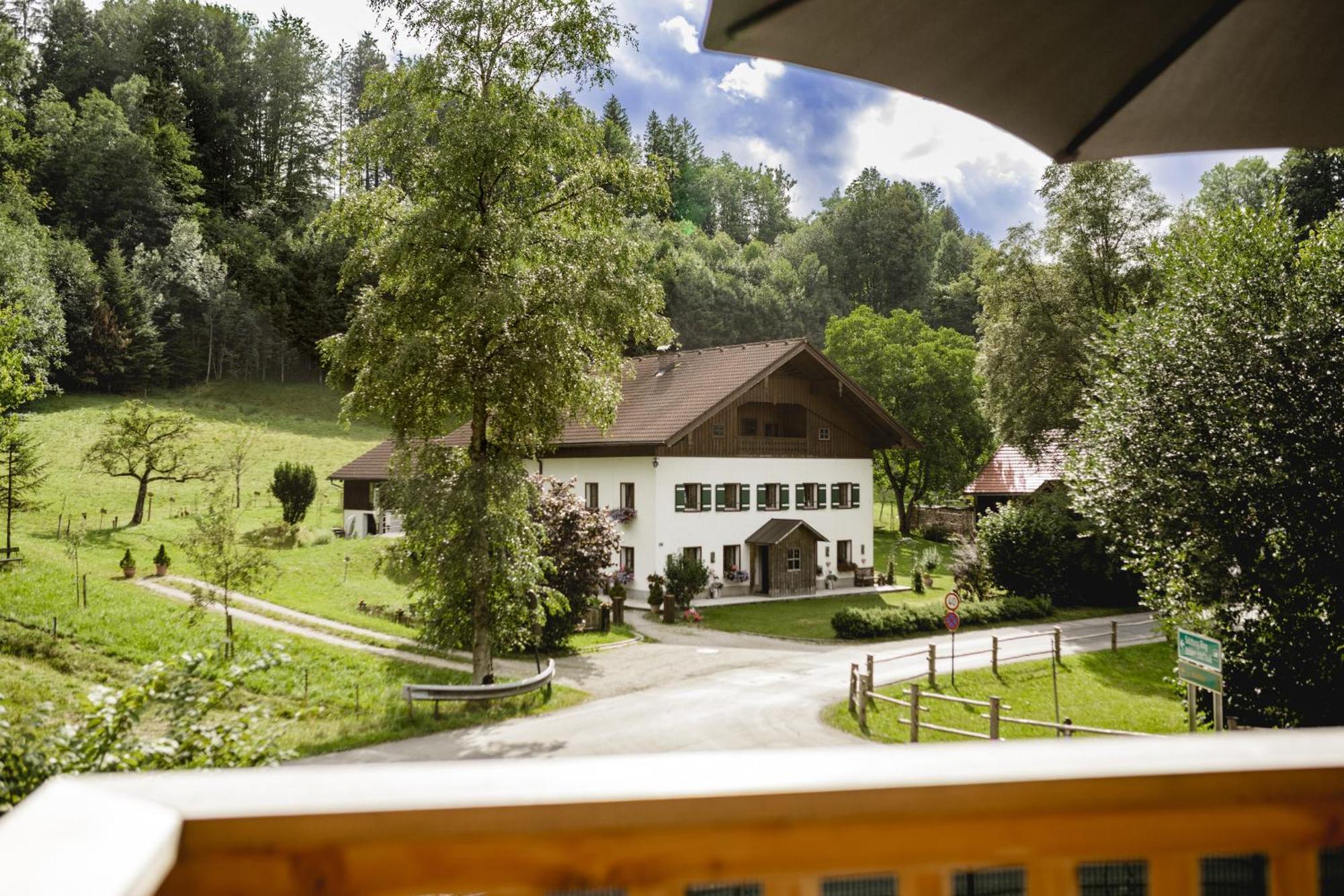 Chalet 49 Nesselgraben - Ferienwohnungen Aus Holz Koppl Exteriér fotografie