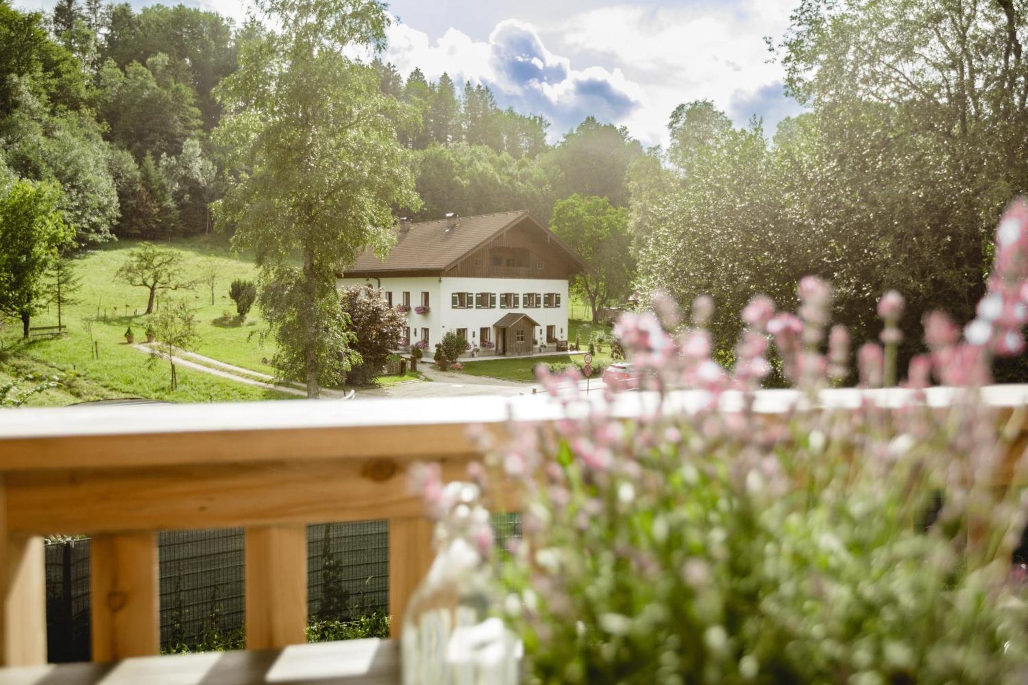 Chalet 49 Nesselgraben - Ferienwohnungen Aus Holz Koppl Exteriér fotografie