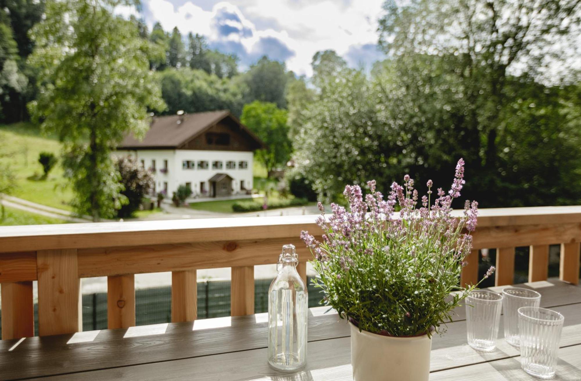 Chalet 49 Nesselgraben - Ferienwohnungen Aus Holz Koppl Exteriér fotografie